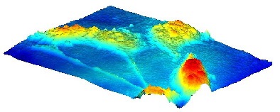 动体细胞3D实即数码全息动态量测