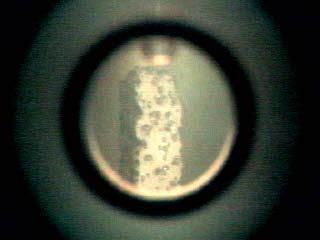 ChemTron Camera 照相反应釜