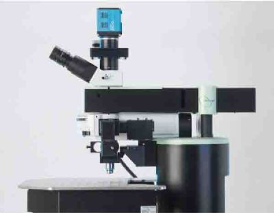 双光子荧光显微镜