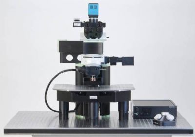双光子荧光显微镜QUANTUM量子科学仪器贸易（北京）有限公司