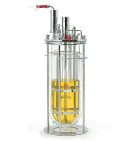 Labfors5 Bacteria实验室台式旗舰型小型发酵罐