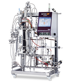 INFORS Techfors 中试原位灭菌生物反应器