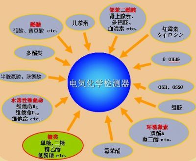 电化学检测器ED723