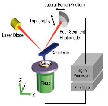 AFM 2000/3000/4000 原子力显微镜