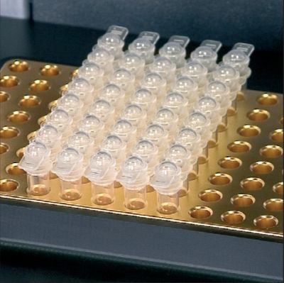 专业型梯度PCR仪--Biometra TProfessional Thermocycler