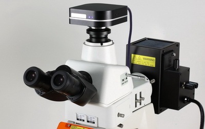科学级黑白CMOS显微镜相机福州鑫图光电有限公司