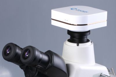 显微镜相机福州鑫图光电有限公司