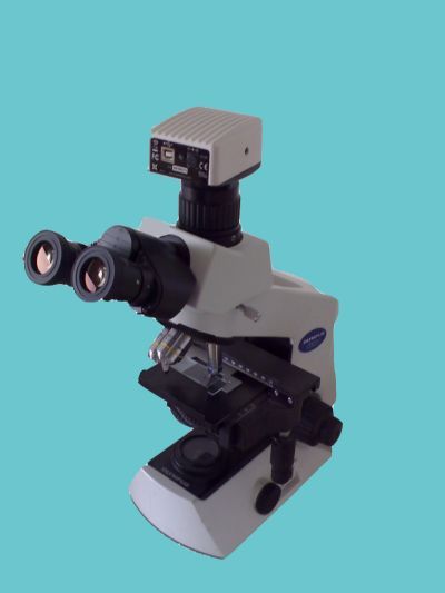 CX21奥林巴斯显微镜北京卓信宏业仪器设备有限公司