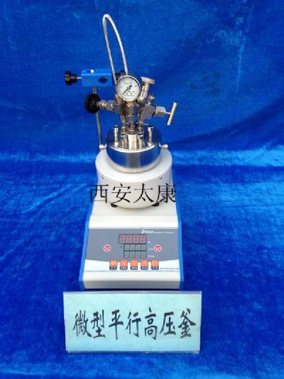 微型磁力高压反应釜|小型高压反应釜|微型高压釜厂家西安太康生物科技集团