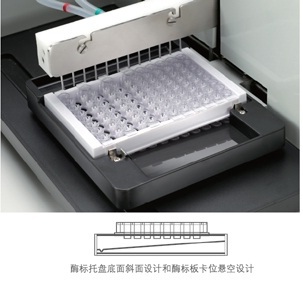 PW-812全自动酶标洗板机北京欣凯隆生物科技有限公司