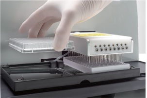 PW-960全自动酶标仪洗板机北京欣凯隆生物科技有限公司