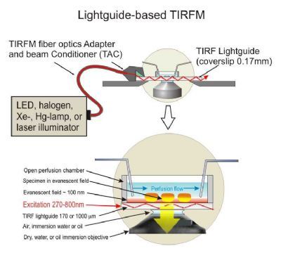 TIRFM 单分子检测全内反射荧光显微镜