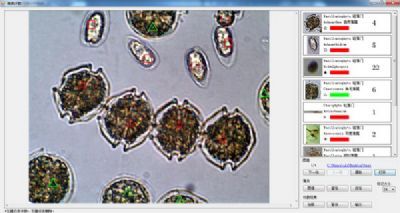 万深AlgaeC浮游动物藻类智能鉴定计数仪