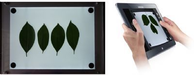LA-S植物图像分析仪平板电脑拍照款叶面积仪