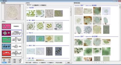 AlgaeC多功能生物监测仪藻类计数智能鉴定仪