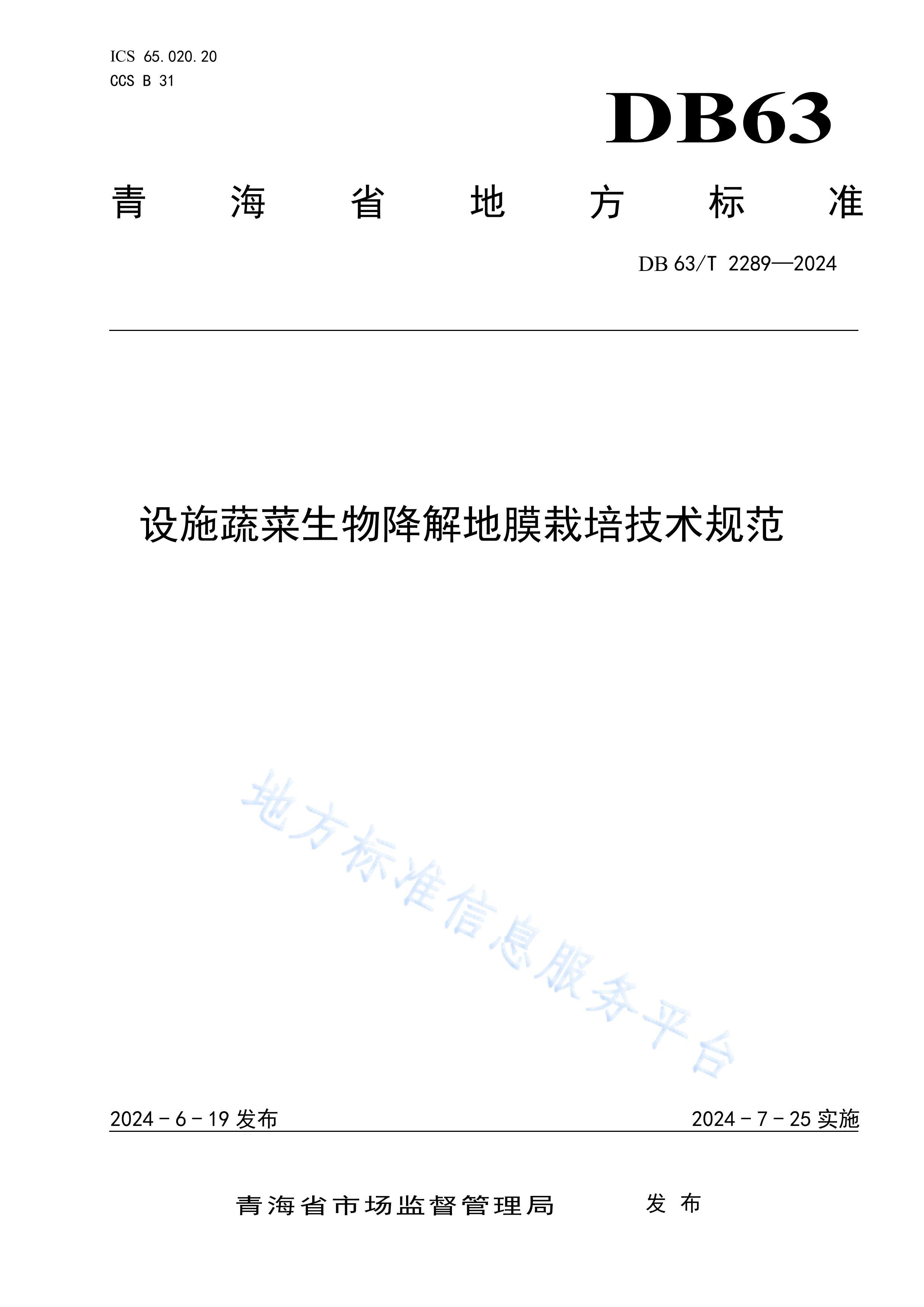 DB2289ʩ߲ｵĤ༼淶.pdf1ҳ