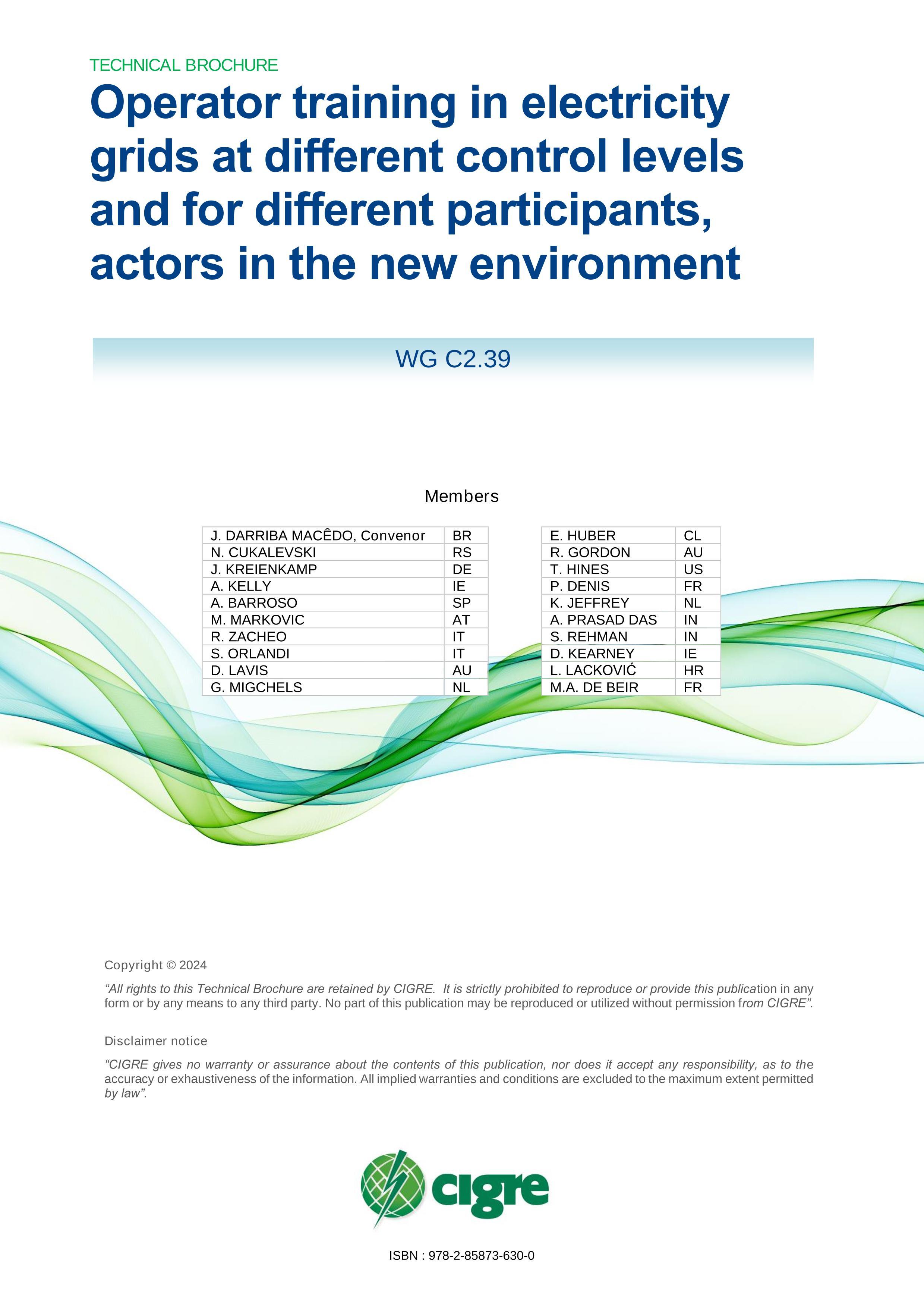 TB 925C2-2024 Operator training in electricity grids at different control levels and for different participants, actors in the new environment .pdf2ҳ