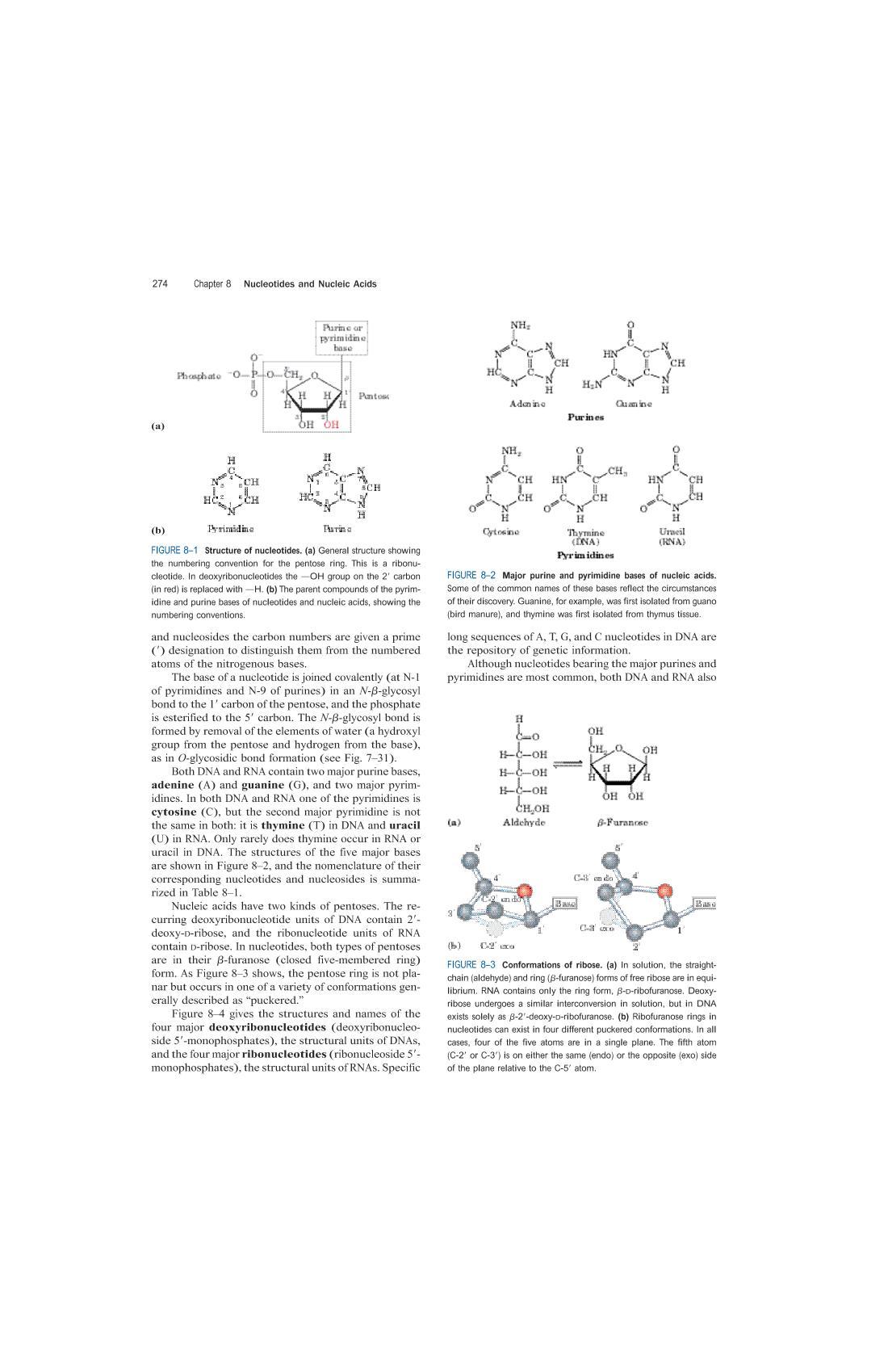 ̳Lehninger Principles of Biochemist82ҳ