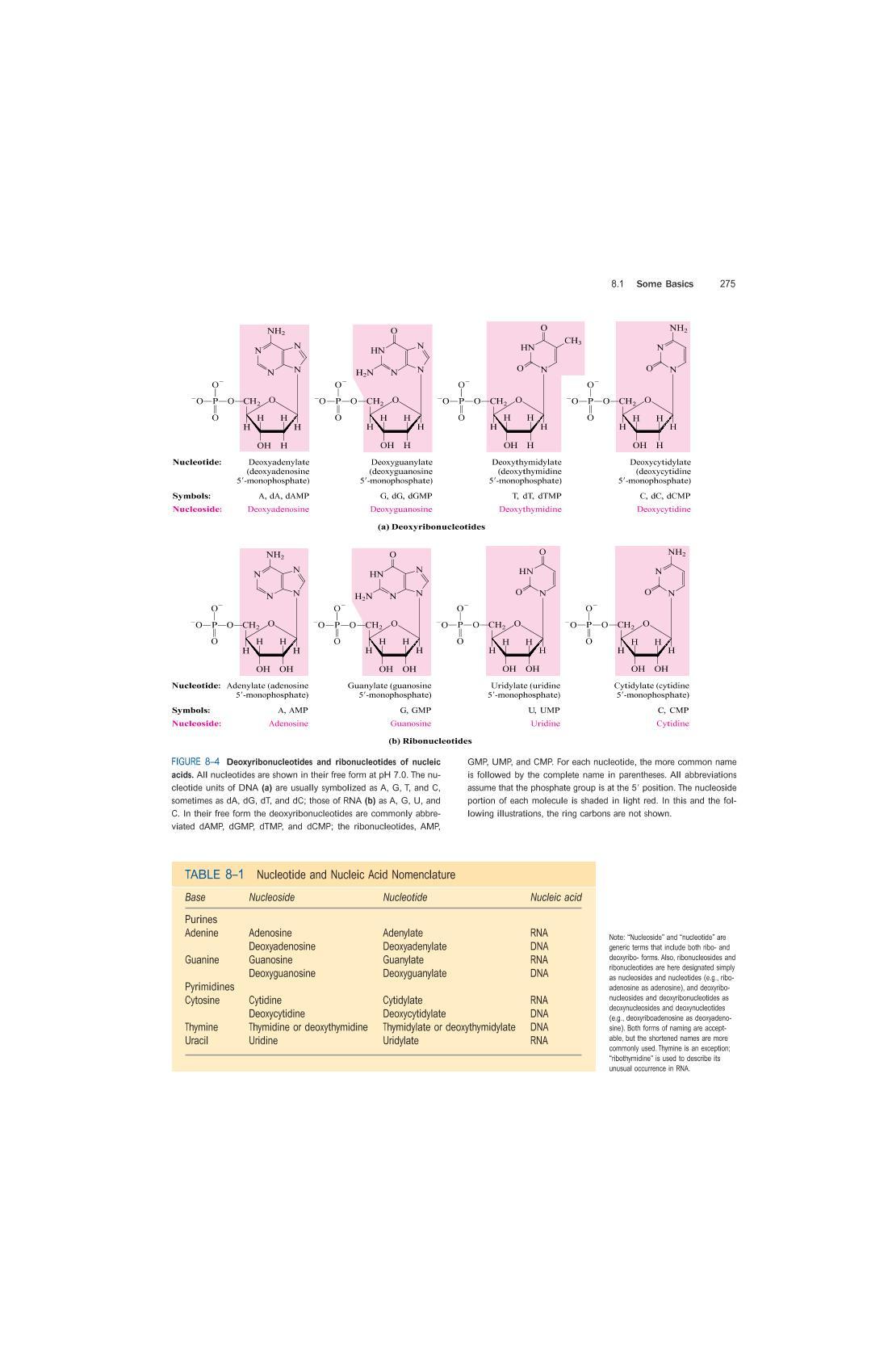 ̳Lehninger Principles of Biochemist83ҳ