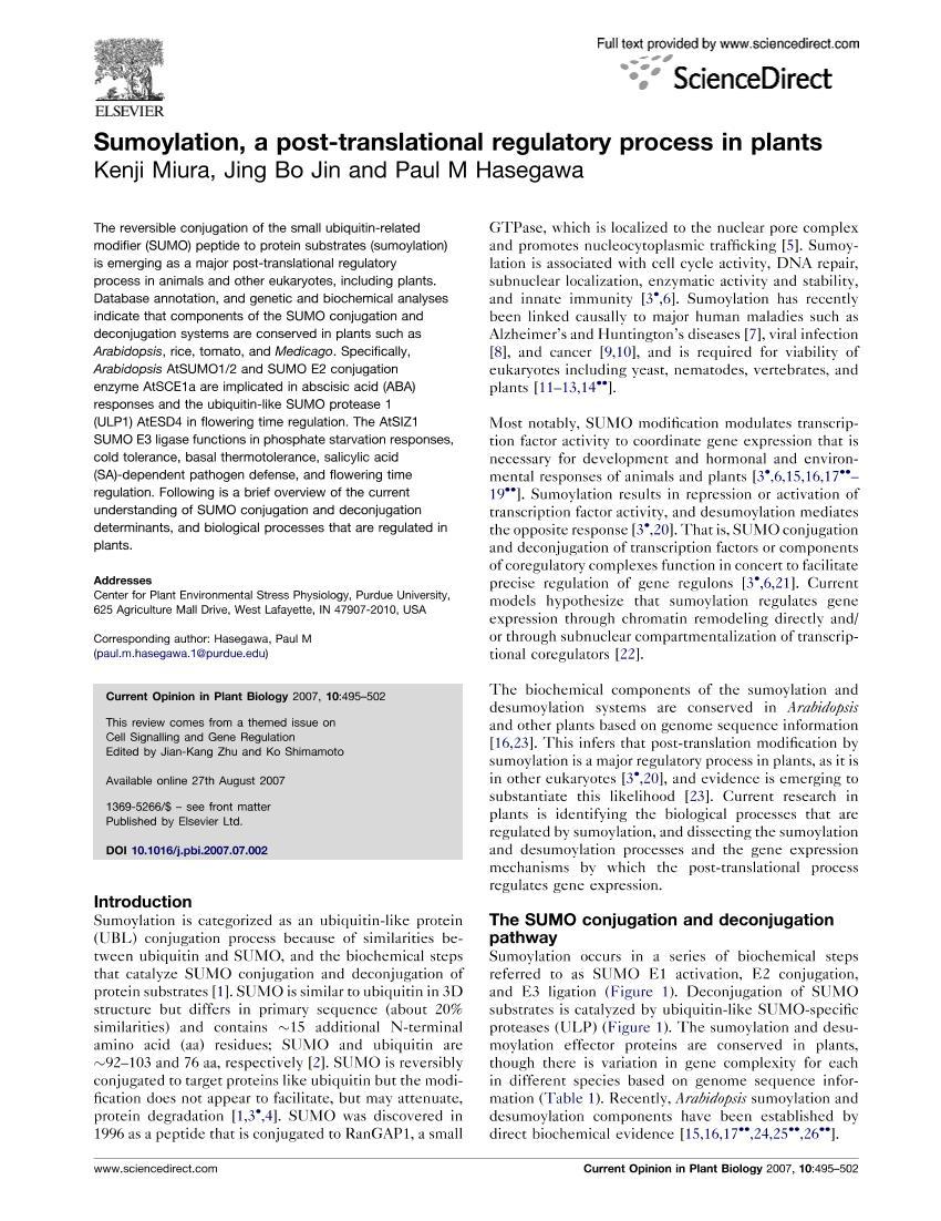 Sumoylation, a post-translational regulatory process in plants1ҳ