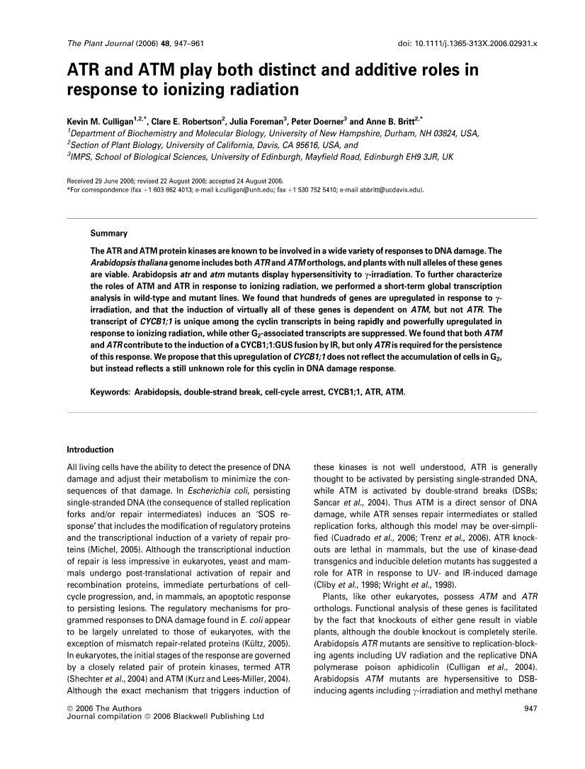 ATR and ATM play both distinct and additive roles in response to ionizing radiation1ҳ