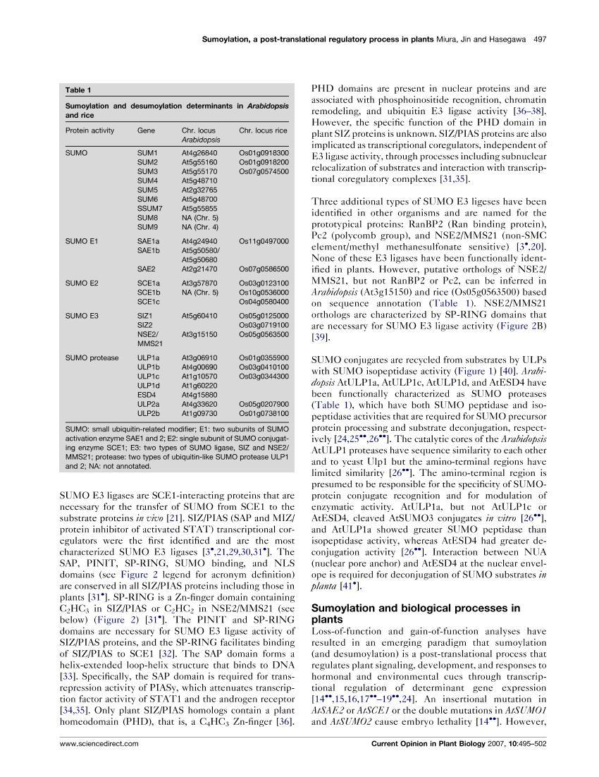 Sumoylation, a post-translational regulatory process in plants3ҳ