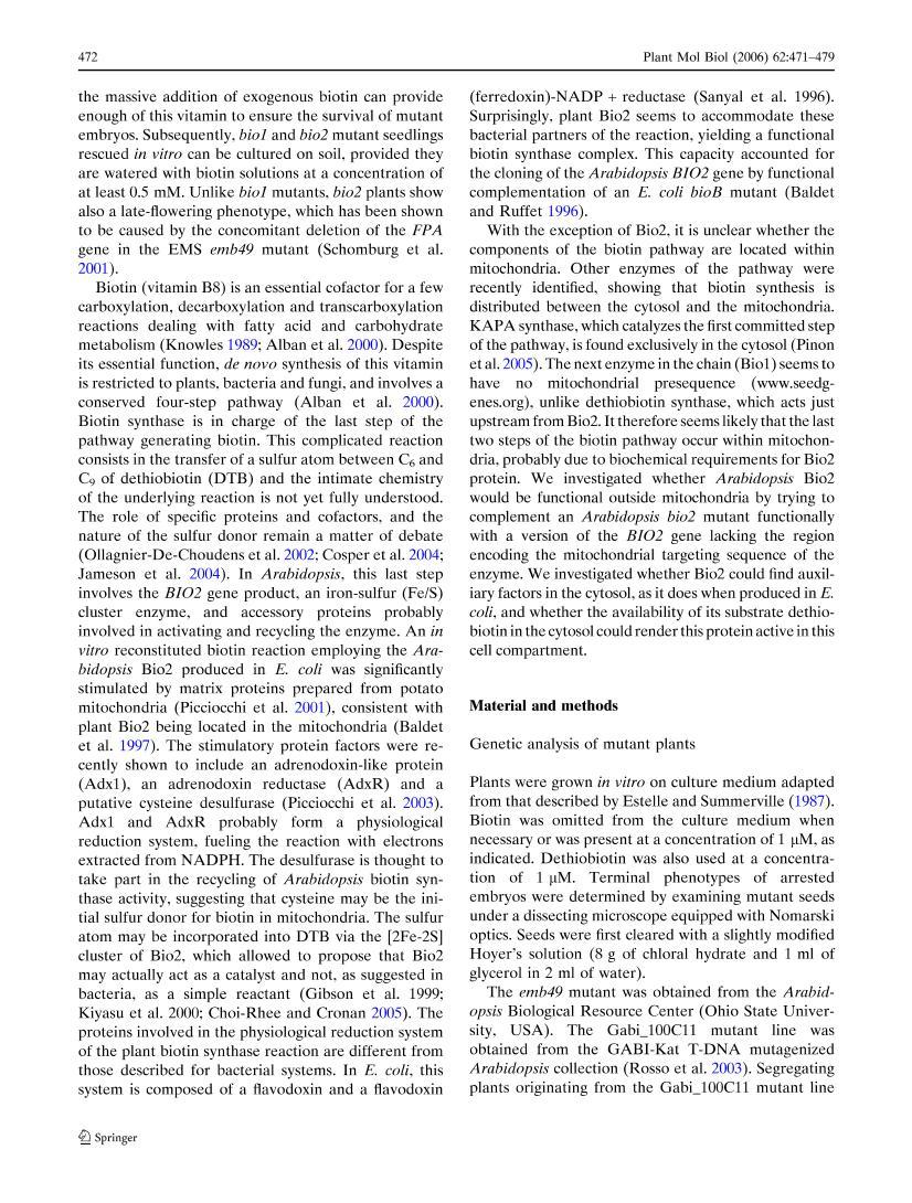 The Arabidopsis Bio2 protein requires mitochondrial targeting for activity2ҳ