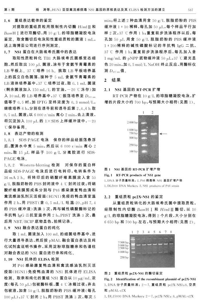H5N1вNS1ԭ˱ＰELISAⷽĽ3ҳ