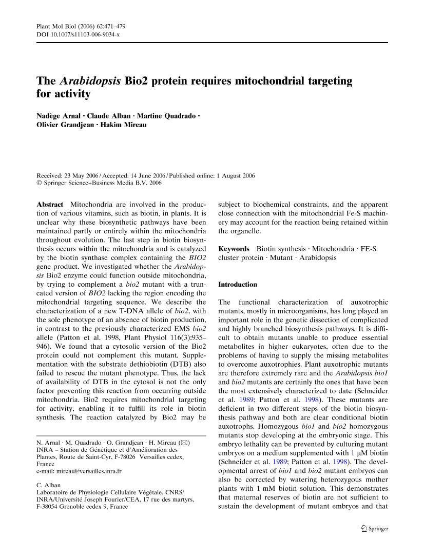 The Arabidopsis Bio2 protein requires mitochondrial targeting for activity1ҳ