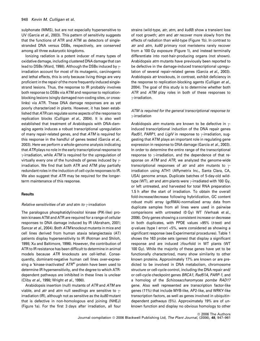 ATR and ATM play both distinct and additive roles in response to ionizing radiation2ҳ