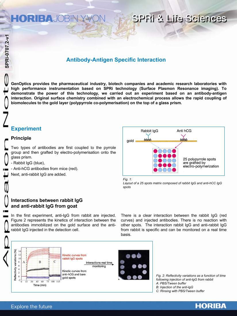 Antibody-Antigen Specific Interaction1ҳ