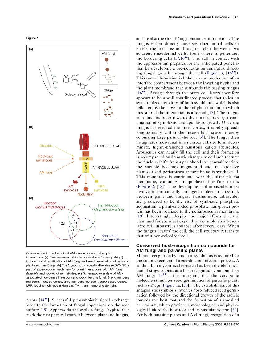 Mutualism and parasitism the yin and yang of plant symbioses2ҳ