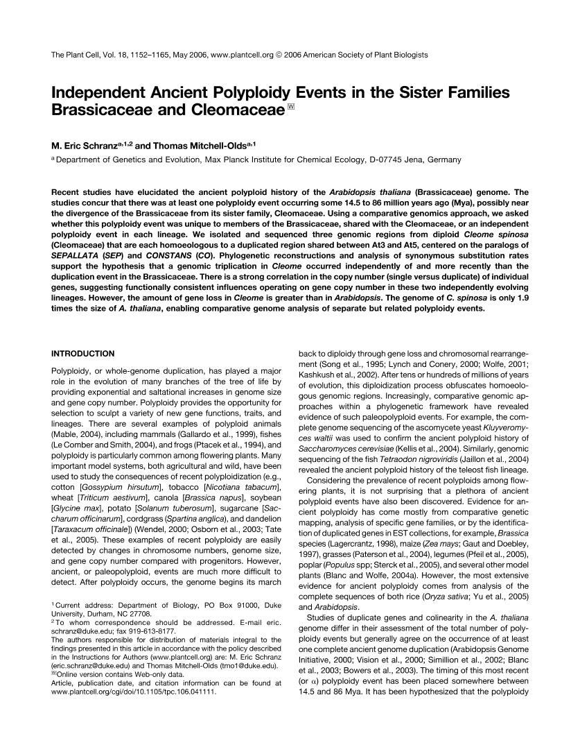 Independent Ancient Polyploidy Events in the Sister Families Brassicaceae and Cleomaceae1ҳ