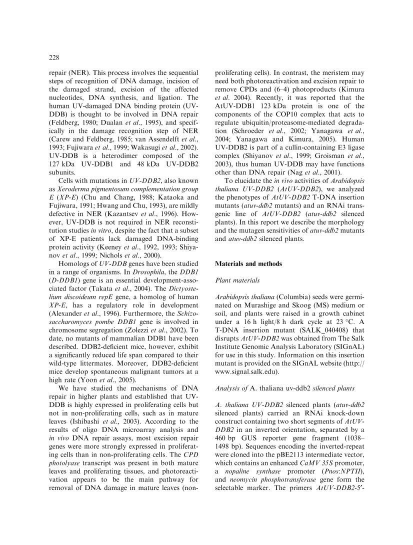 Characterization of T-DNA  Mutants and RNAi Silenced Plants of Arabidopsis thaliana UV-dama2ҳ