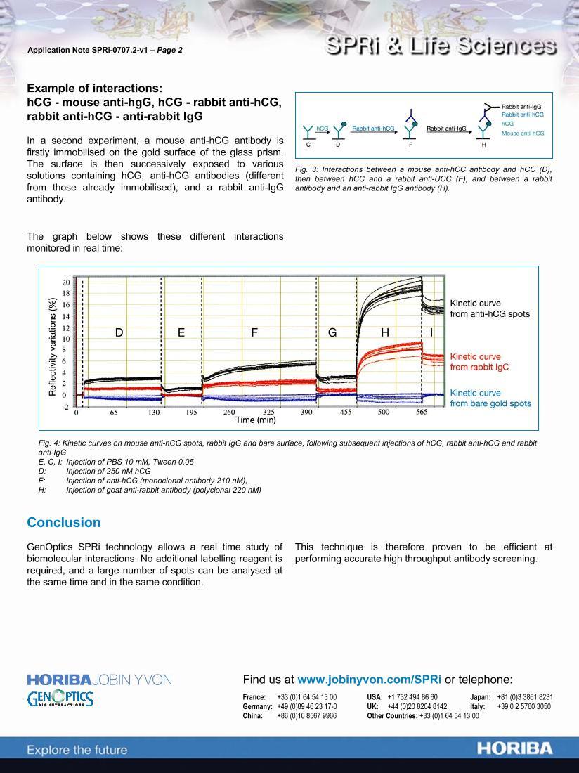 Antibody-Antigen Specific Interaction2ҳ