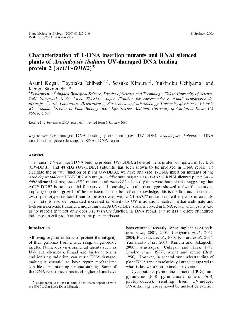 Characterization of T-DNA  Mutants and RNAi Silenced Plants of Arabidopsis thaliana UV-dama1ҳ