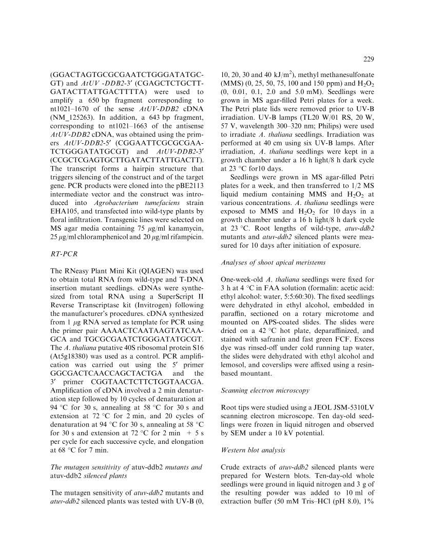 Characterization of T-DNA  Mutants and RNAi Silenced Plants of Arabidopsis thaliana UV-dama3ҳ