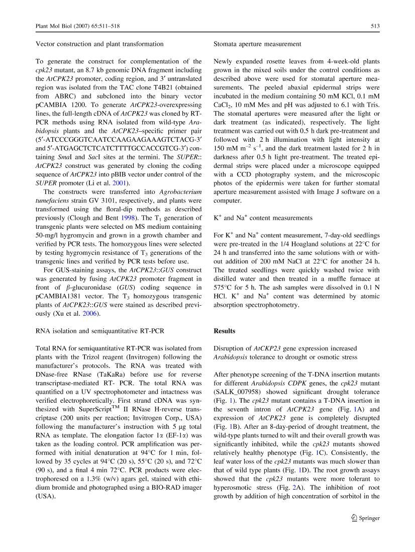 AtCPK23 functions in Arabidopsis responses to drought and salt stresses3ҳ