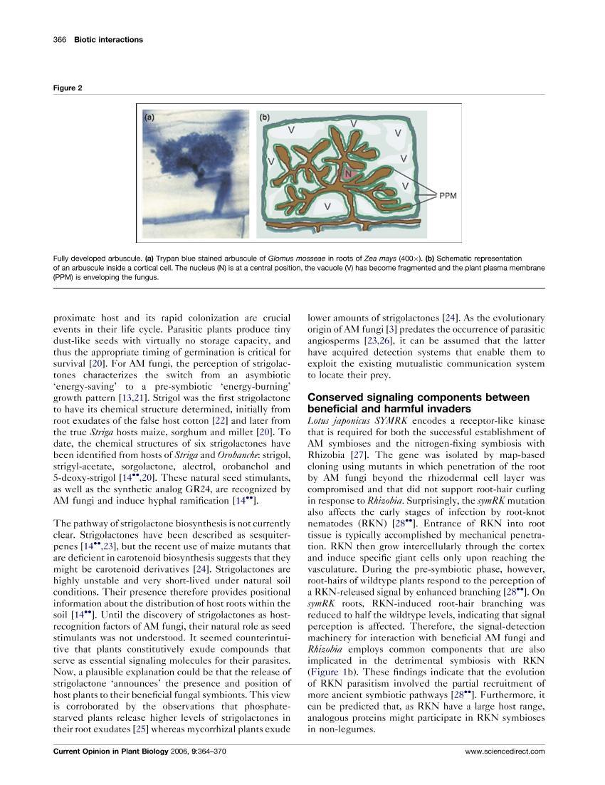 Mutualism and parasitism the yin and yang of plant symbioses3ҳ