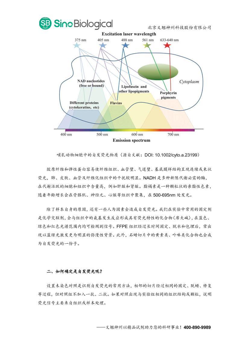 ���ڴ����ӣ�ӫ������������΢������IF����ӫ�ⶨ������.pdf��2ҳ