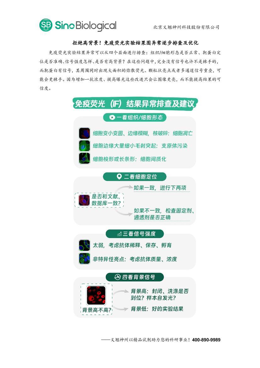 �ܾ��߱���������ӫ��ʵ����ͼ�쳣���Ų鼰�Ż�.pdf��1ҳ