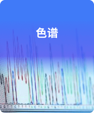 色谱